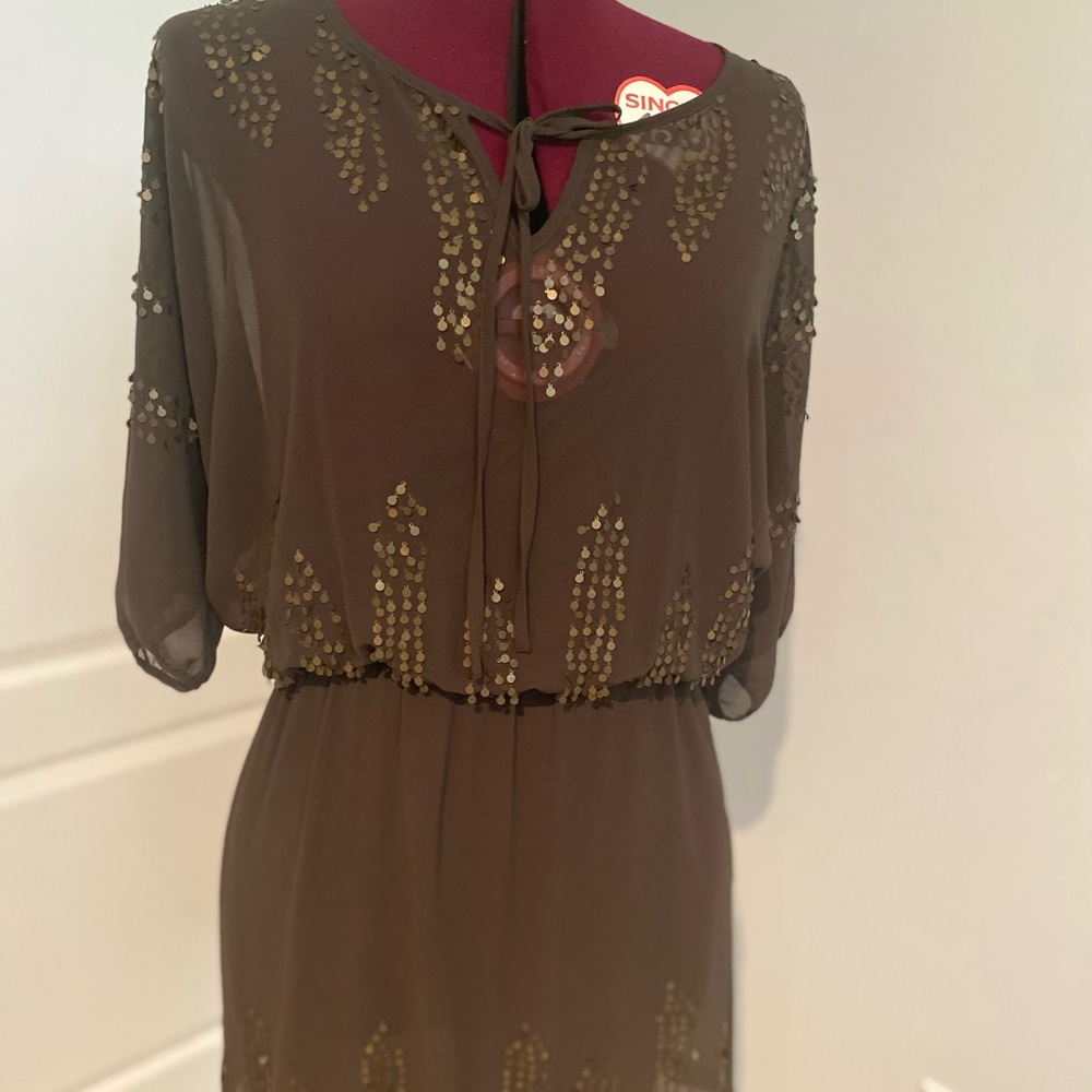 Greylin sheer dress with sequins and matching slip in bronze. Size M.